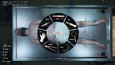 второй скриншот из Autopsy Simulator