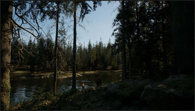 четвертый скриншот из Evergreen - Mountain Life Simulator