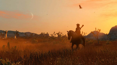 четвертый скриншот из Red Dead Redemption