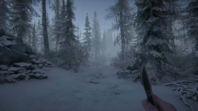 третий скриншот из Silence in the Cabin