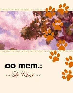 Обложка 00 mem.: Le Chat