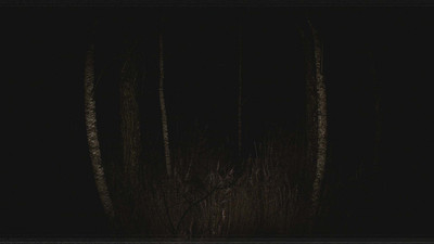 третий скриншот из Paranormal VHS