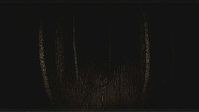 четвертый скриншот из Paranormal VHS