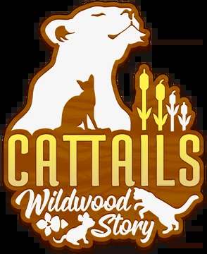 Обложка Cattails Wildwood Story