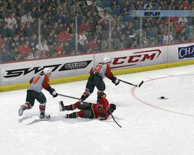 второй скриншот из NHL 2008