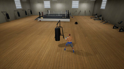 второй скриншот из Tactic Boxing