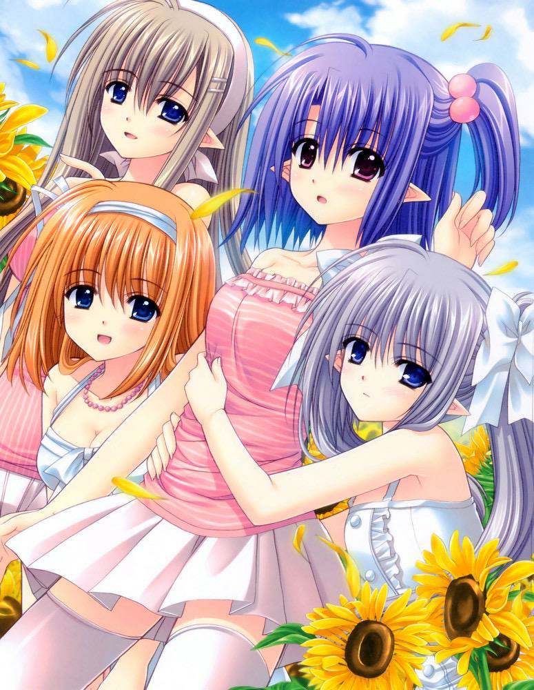 SHUFFLE! Essence+ -Limited Edition- SHUFFLE! Essence+ -Limited Edition-