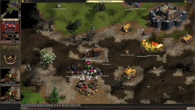 четвертый скриншот из Majesty: The Fantasy Kingdom Sim