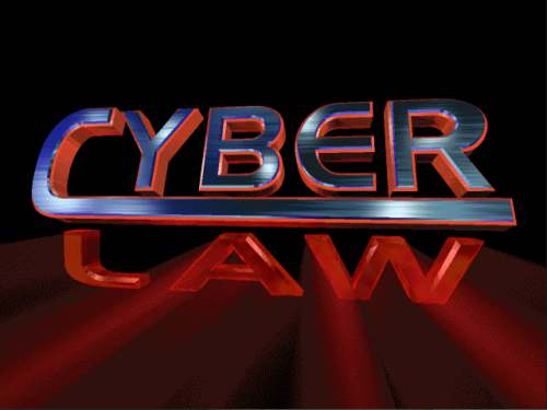 Cyber Police