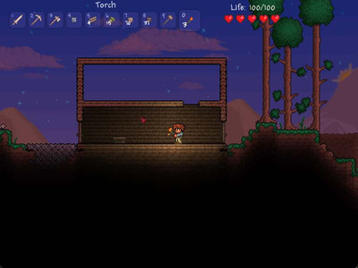 первый скриншот из Terraria - Collector's Edition