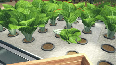 четвертый скриншот из Hydroponics Farm & Store Simulator