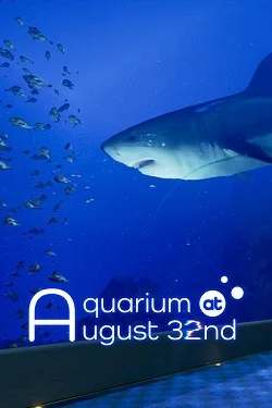 Aquarium at August 32nd