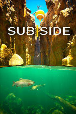 Subside