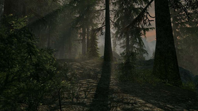 третий скриншот из Сборка модификаций - Silver Raven mods pack The Elder Scrolls V - Skyrim Special Edition