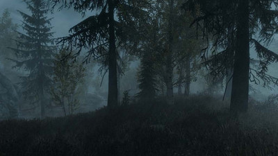 четвертый скриншот из Сборка модификаций - Silver Raven mods pack The Elder Scrolls V - Skyrim Special Edition