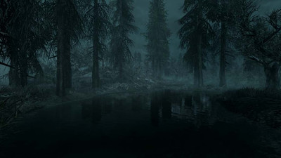 первый скриншот из Сборка модификаций - Silver Raven mods pack The Elder Scrolls V - Skyrim Special Edition