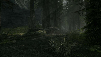 второй скриншот из Сборка модификаций - Silver Raven mods pack The Elder Scrolls V - Skyrim Special Edition