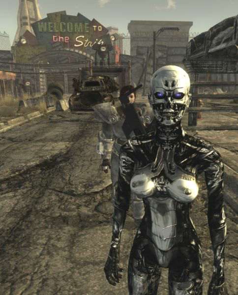 Мод для Fallout 3 - 2 напарника за раз