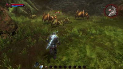 первый скриншот из Kingdoms of Amalur: Reckoning - YSA mod