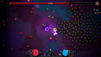 первый скриншот из Necromancer's Revenge