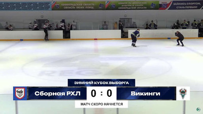 четвертый скриншот из RHL 2010 / РХЛ 2010