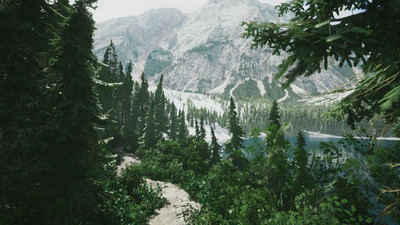 первый скриншот из Lushfoil Photography Sim