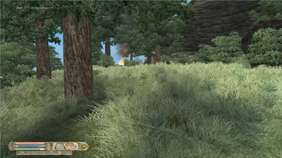 третий скриншот из The Elder Scrolls 4: Oblivion - сборник реплейсеров анимации