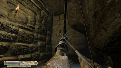 первый скриншот из The Elder Scrolls 4: Oblivion - сборник реплейсеров анимации