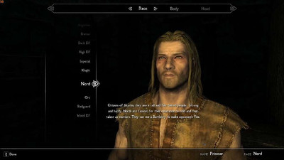 четвертый скриншот из Skyrim Organized Pack