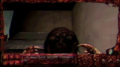 третий скриншот из Navicula Meatus
