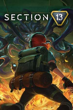 Section 13 DEMO