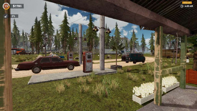 второй скриншот из Fuel Station Simulator