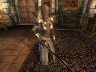 третий скриншот из The Elder Scrolls IV Oblivion сборник модов.