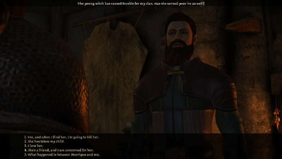 первый скриншот из Dragon Age Origins: The Witch Hunt