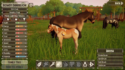 четвертый скриншот из The Ranch of Rivershine