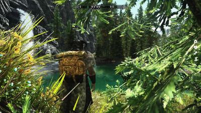 второй скриншот из Skyrim Immersive Adventure Project (SIAP) v1.1