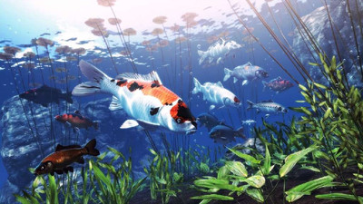 первый скриншот из My Koi