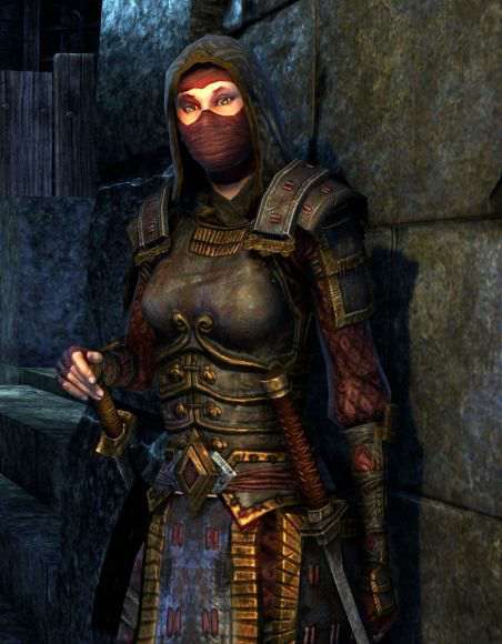 The Elder Scrolls 4: Oblivion. Воры Имперского города The Elder Scrolls 4: Oblivion. Воры Имперского города