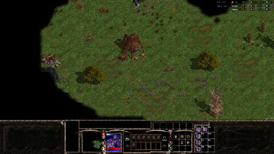 четвертый скриншот из Warlords BattleCry 3 - Unofficial patches