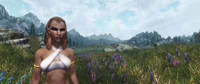 второй скриншот из Skyrim no SKSE mod compilation