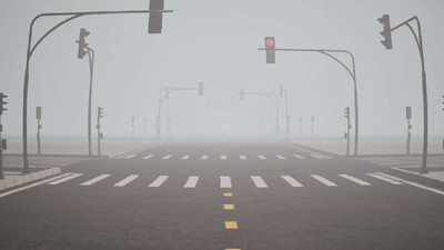 первый скриншот из Walking In