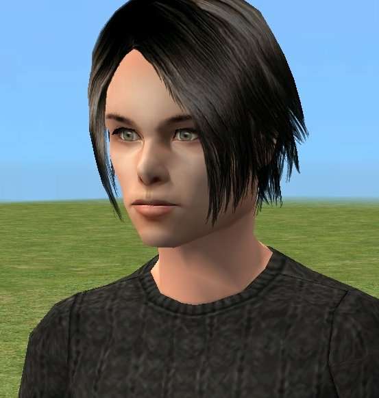 The Sims 2. 10 папок с качественными симами (мужчинами) The Sims 2. 10 папок с качественными симами (мужчинами)
