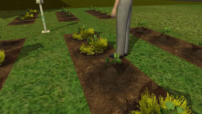 четвертый скриншот из The Sims 2. 33 папки со столовыми