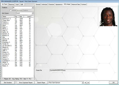 второй скриншот из Фотопак Лига 1 Франция Fifa Manager 13
