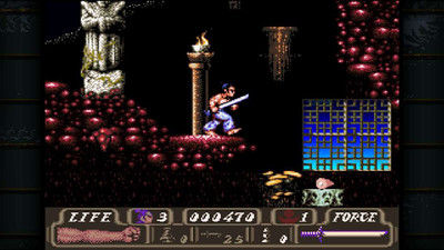 третий скриншот из Beat 'Em Up Collection (QUByte Classics)