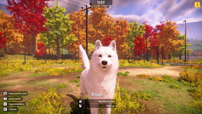 третий скриншот из Animal Shelter 2