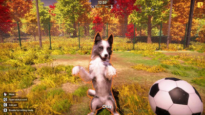 второй скриншот из Animal Shelter 2