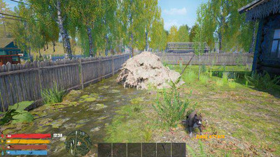 четвертый скриншот из Симулятор русской деревни 2 / Russian Village Simulator 2