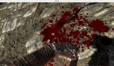 третий скриншот из Skyrim ReDynamic (The Elder Scrolls V: Skyrim)