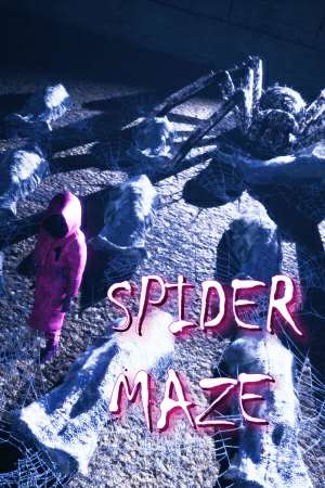 Spider Maze Spider Maze